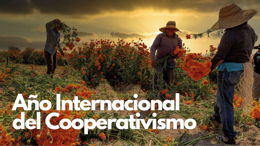 Año Internacional del Cooperativismo